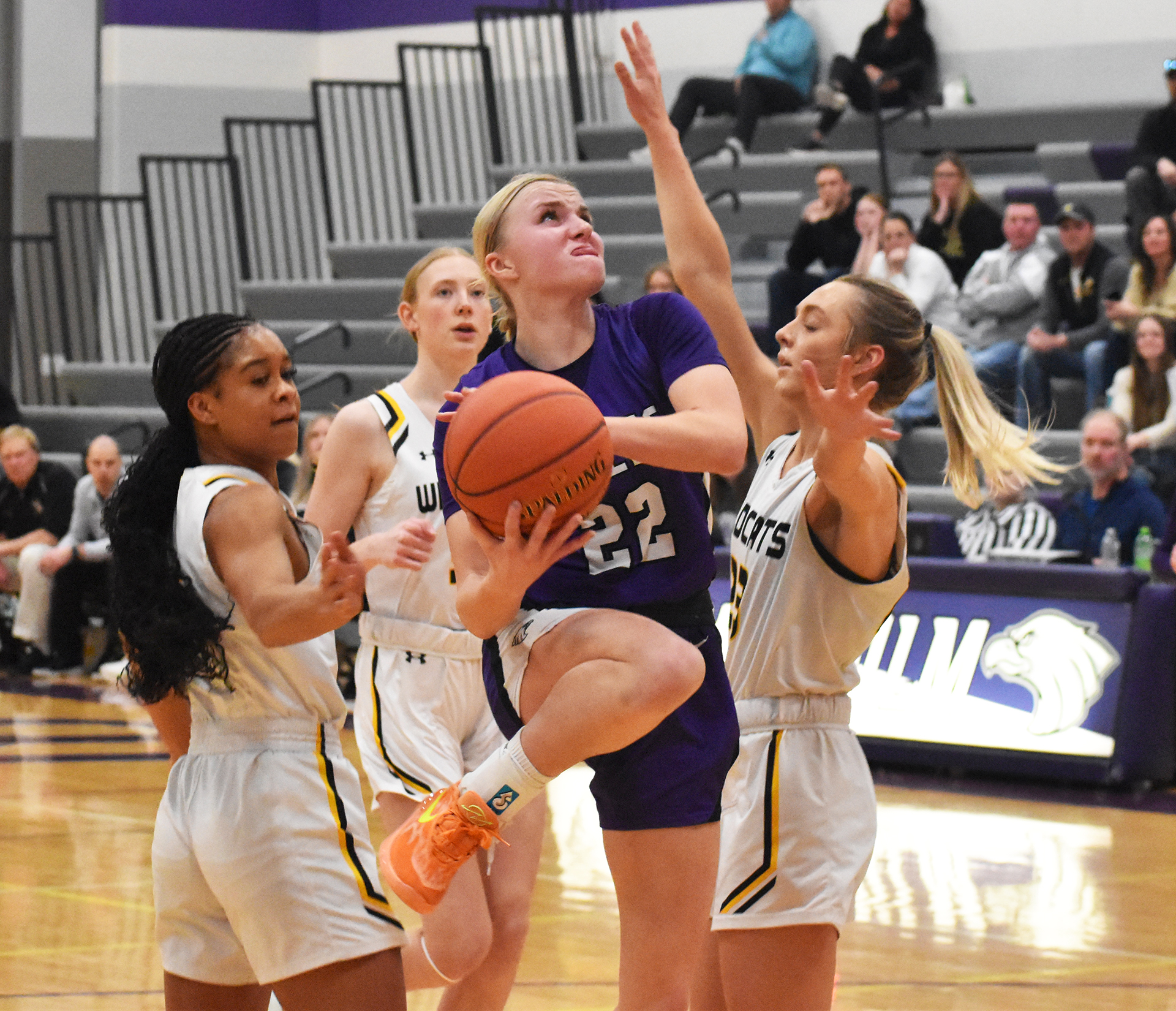 Eagles top AA-ranked NLS in OT | News, Sports, Jobs - The Journal